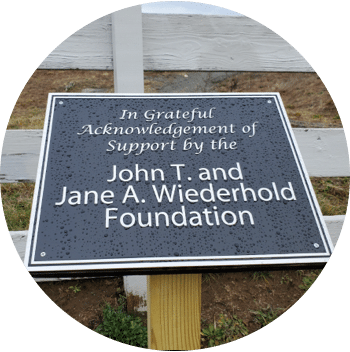 John T. and Jane A. Wiederhold Foundation