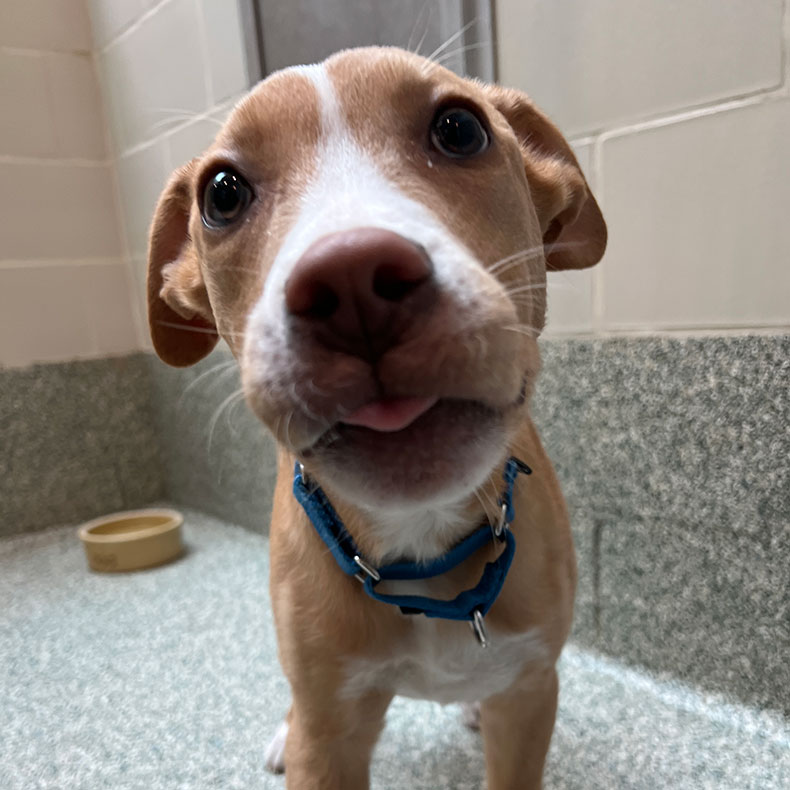 Ekko's Heartwarming Story