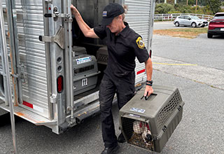 MSPCA-Angell Law Enforcement Seizes More than 100 Animals from Plympton Property