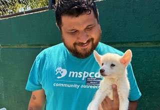 Community Outreach expands to Springfield