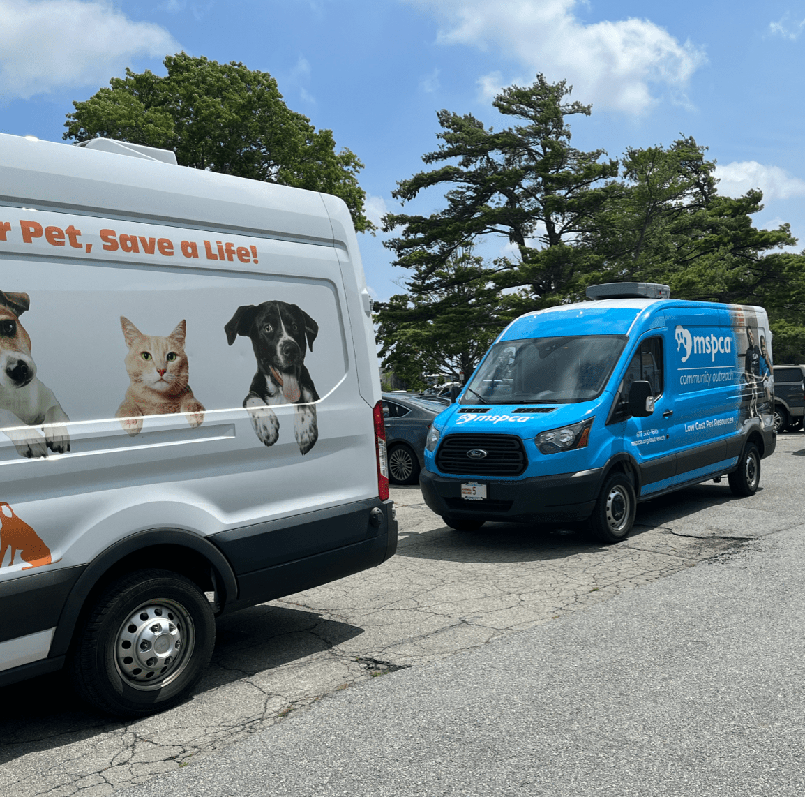 Two MSPCA rescue vans
