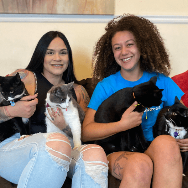 Edmarie and the kittens with Alison