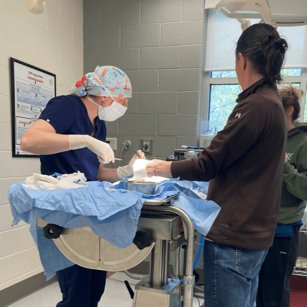 Dr. Michelle Jenssen during surgery.