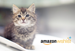 cat on scale with amazon wish list logo overlay