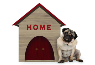 dog sitting next to doghouse labelled 'home'