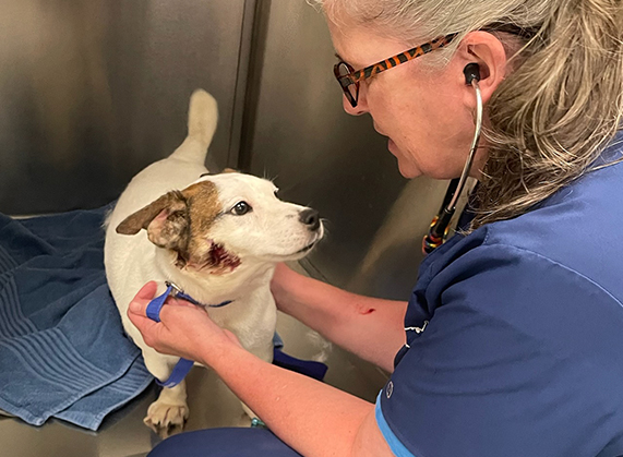 The Ear-Resistible Russell