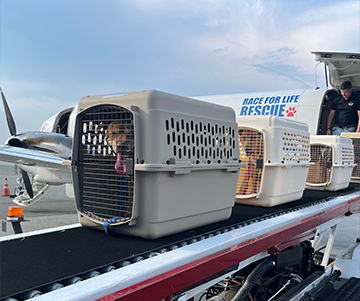 Throwing a Lifeline to Animals in Distress