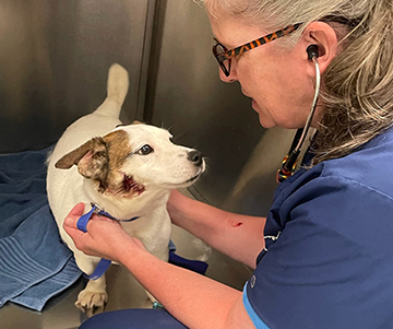 The Ear-Resistible Russell