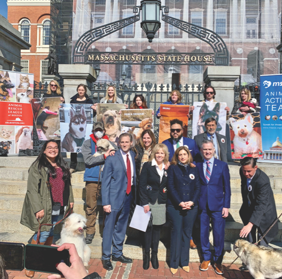 The MSPCA-Angell at the Ollie's
					Law Coalition Rally at the State House, pictured with Ollie's Law Sponsor Representative Brian Ashe, Senator Jake Oliveira, Representative
					Jim Hawkins, Ollie's owner Amy Baxter, Jeni Mather (JM Pet Resort), Ryan McCollum (RMC Strategies), Jeremy Cohen (Boston Dog Lawyers),
					legislative staff, and animal advocates
