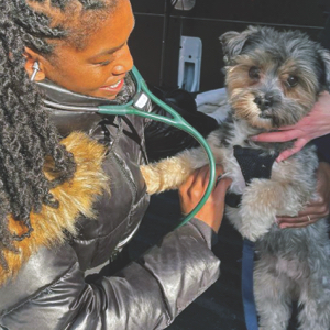 MSPCA-Angell staff veterinarians Dr. Michele James (Neurology)