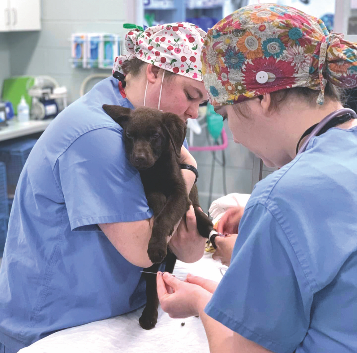 Valentina received a full exam to confirm her diagnosis of a vascular ring anomaly