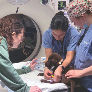 Valentina received a full exam to confirm her diagnosis of a vascular ring anomaly