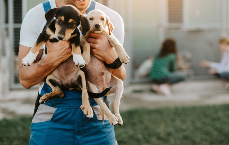 3635Nearly 200 Animals Rescued from Lynnfield Hoarding House