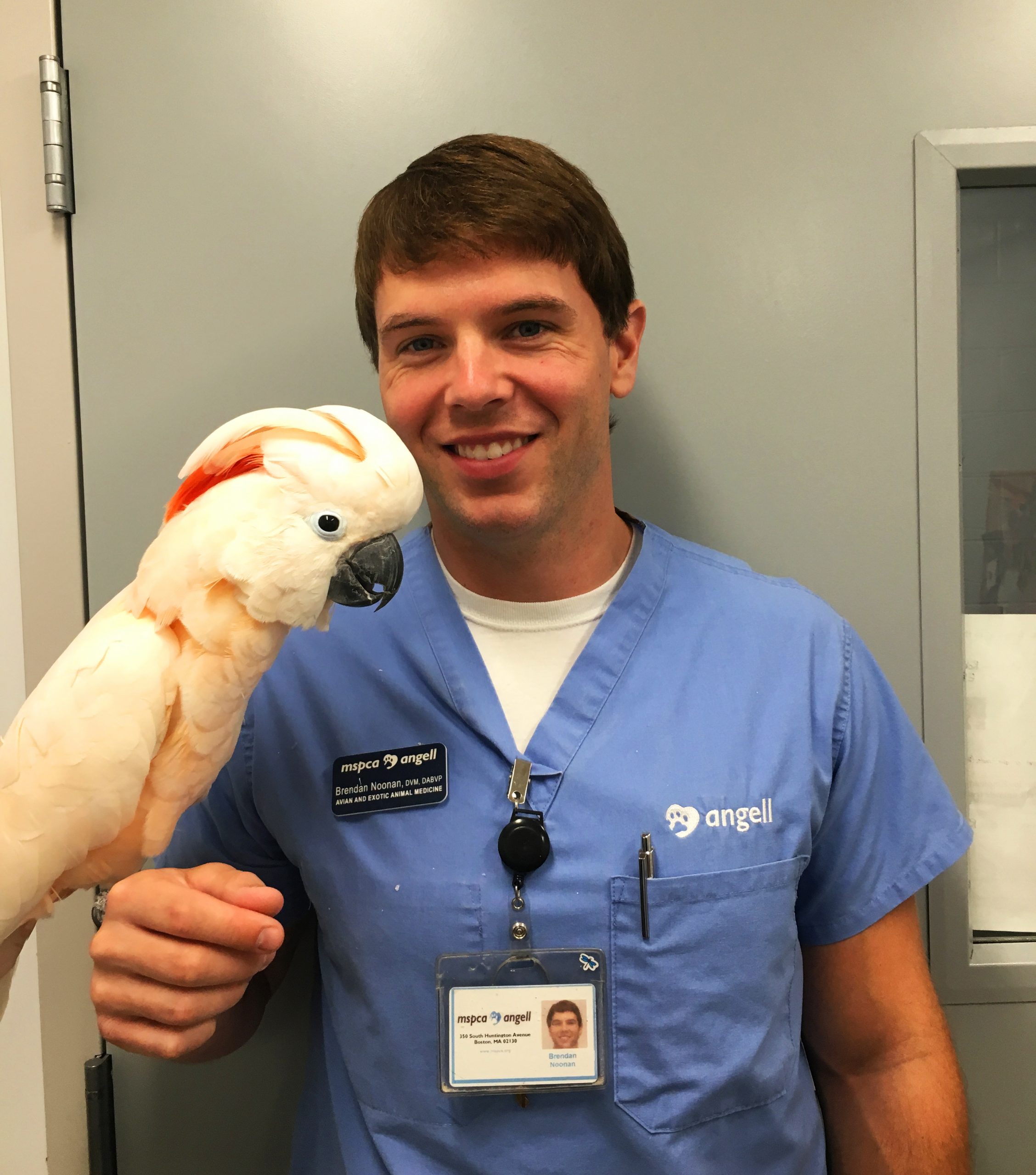 Meet the Avian and Exotics Team in Boston • MSPCA-Angell