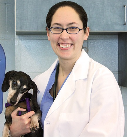 Meet the 24/7 Emergency and Critical Care Team in Waltham • MSPCA-Angell