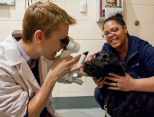 Dr. Martin Coster examines Salem, a 5-year-old seeing eye dog - with Tia Irving, CVT 