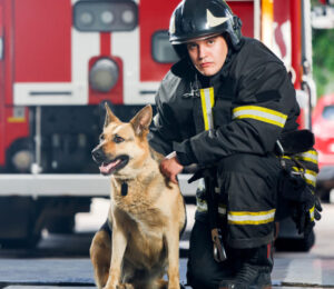 search-is-on-for-the-hottest-firefighters-to-star-in-charity-calendar-to-benefit-mspca-angell