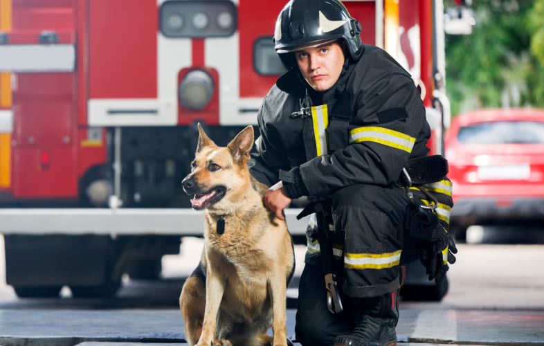 6204Search is on for the Hottest Firefighters to Star in Charity Calendar to Benefit MSPCA-Angell