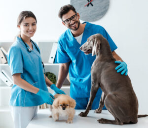 angell-animal-medical-centers-emergency-critical-care-unit-receives-top-certification-from-leading-veterinary-professional-society