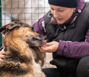 mspca-cape-cod-breaks-ground-on-new-adoption-center
