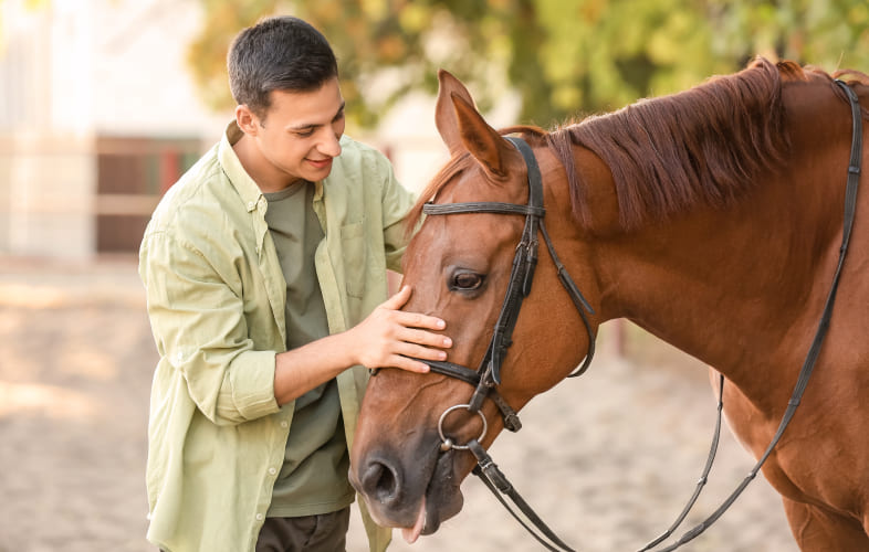 3684MSPCA-Nevins to Waive Adoption Fee in Bid to Find Permanent Homes for Companion Horses