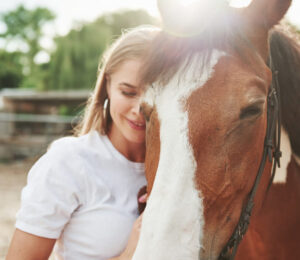 mspca-nevins-farm-announces-second-fee-waived-companion-horse-adoptathon