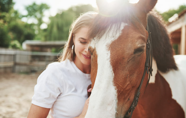5873MSPCA-Nevins Farm Announces Second Fee-Waived “Companion Horse” Adoptathon