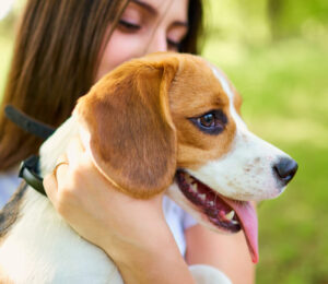 rare-cleft-palate-dog-needs-surgery-and-a-new-home