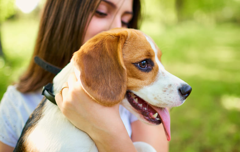 6083Rare “Cleft Palate” Dog Needs Surgery and a New Home