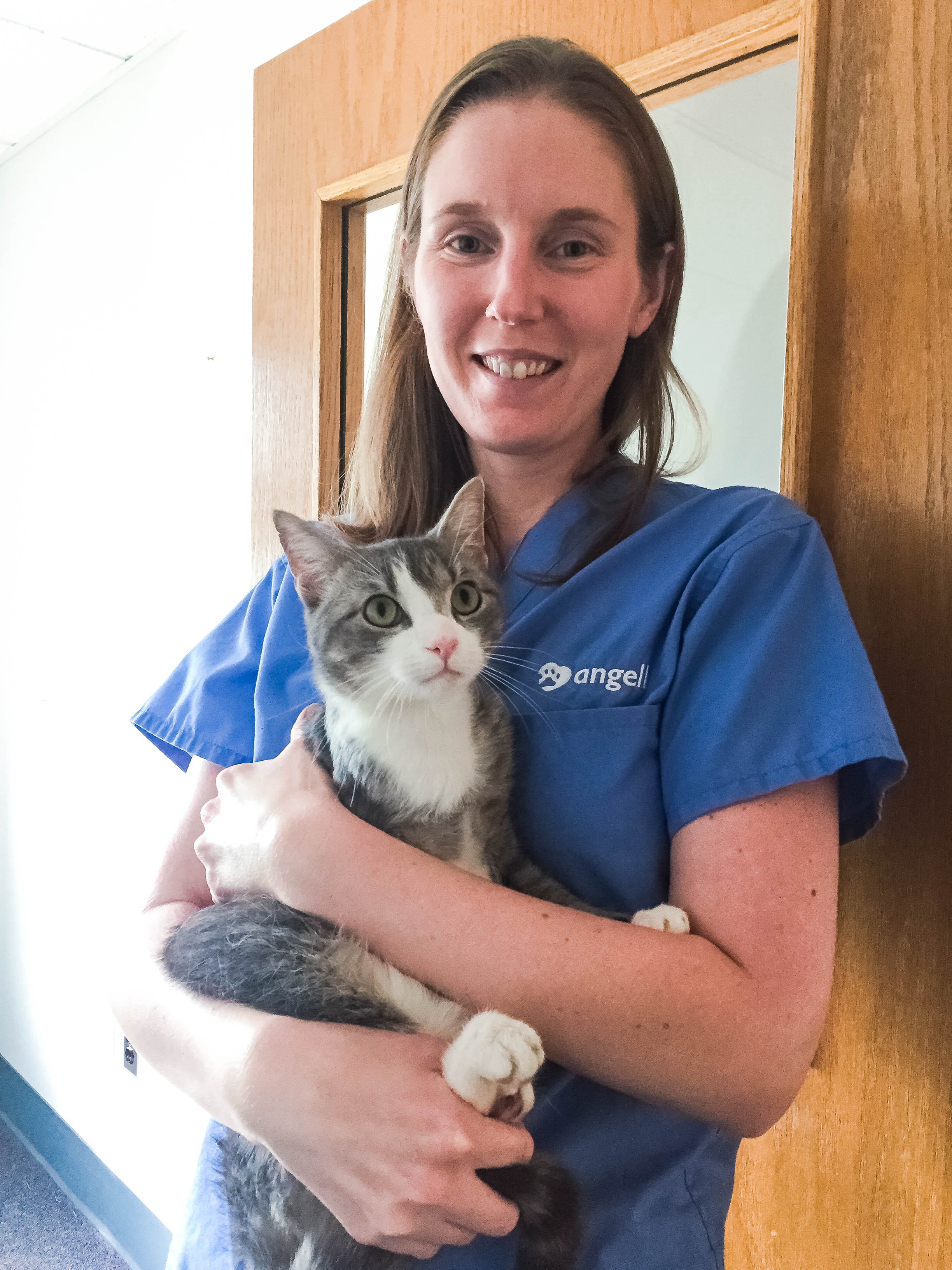 Angell Welcomes New Staff Doctors • MSPCA-Angell