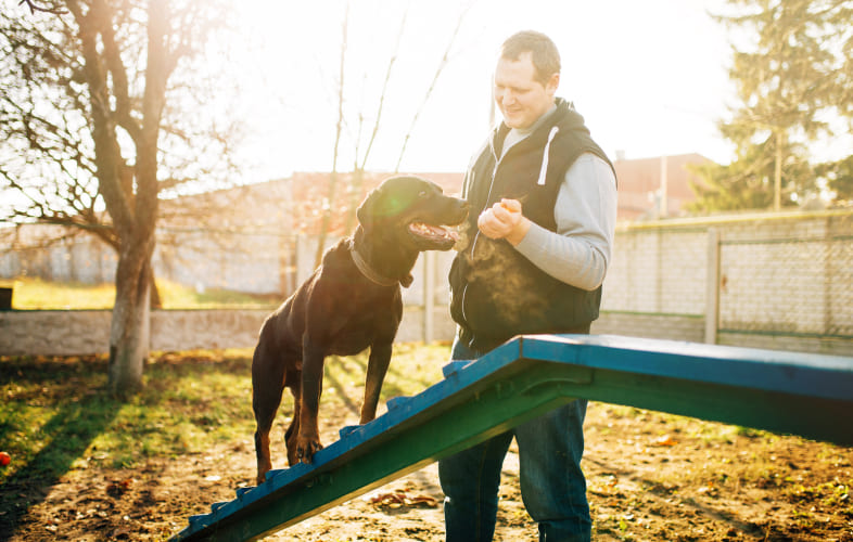 4921Come, Sit, Stay! Dog Training Kicks off at MSPCA-Cape Cod