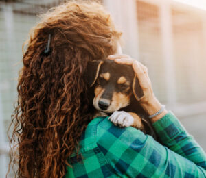pet-owners-in-crisis-find-solace-with-group-support-at-angell-animal-medical-center