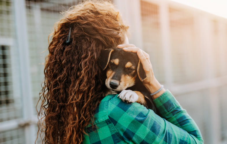 3686Pet Owners in Crisis find Solace with Group Support at Angell Animal Medical Center
