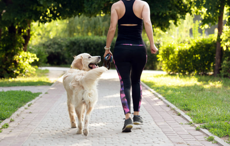 6055MSPCA-Angell’s “Fast and Furriest” 5K Run, Walk, Wag Set for May 19!