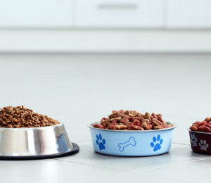 mspca-angell-to-distribute-more-than-100000-pet-meals-to-local-food-pantries-to-keep-pets-and-families-together