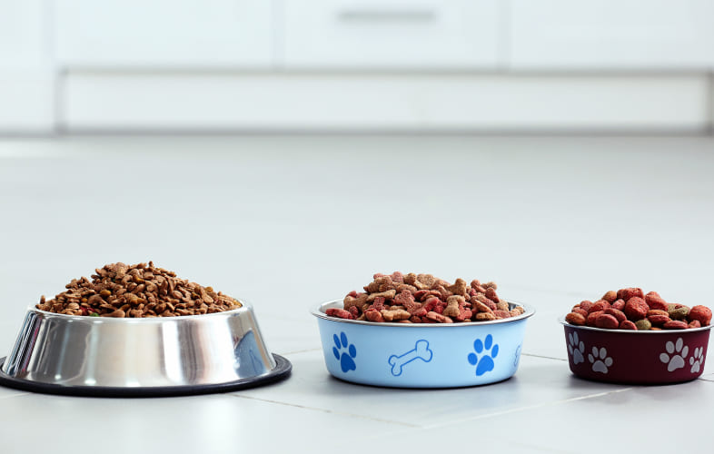 5988MSPCA-Angell to Distribute More than 100,000 Pet Meals to Local Food Pantries to Keep Pets and Families Together