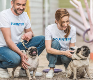 mspca-angell-receives-302000-grant-from-petsmart-charities-to-increase-access-to-affordable-veterinary-care
