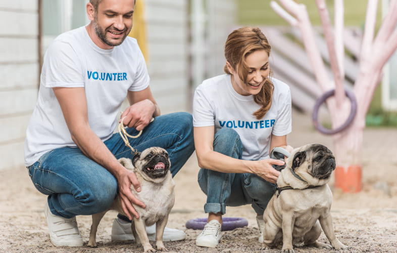 4925MSPCA-Angell Receives $302,000 Grant from PetSmart Charities® to Increase Access to Affordable Veterinary Care