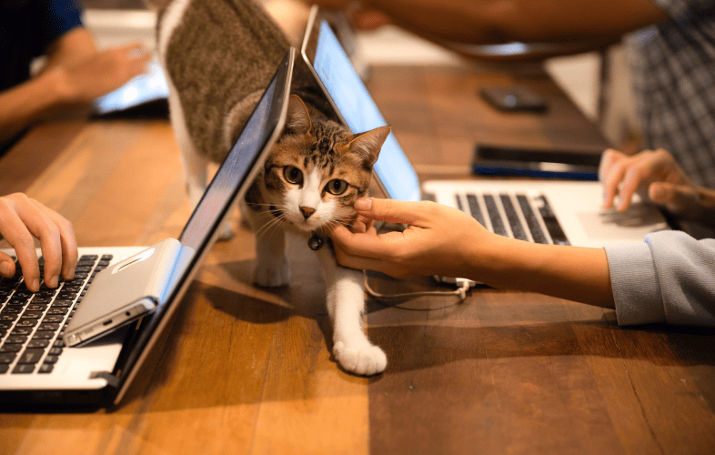 1921Poll: More than 90% of Workers Want Pets Allowed in the Office