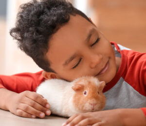 the-mspca-angell-chosen-as-a-petco-love-and-bobs-from-skechers-pet-love-stories-winner