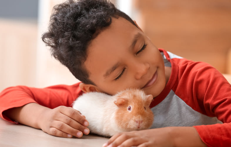 the-mspca-angell-chosen-as-a-petco-love-and-bobs-from-skechers-pet-love-stories-winner