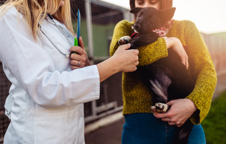 3601National Nonprofit Petco Love Invests in the MSPCA-Angell to Save and Improve the Lives of Pets in Massachusetts