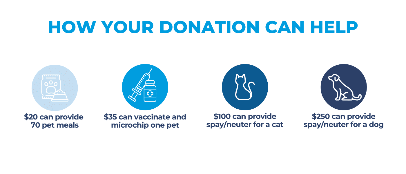 how your donation can help, giving tuesday