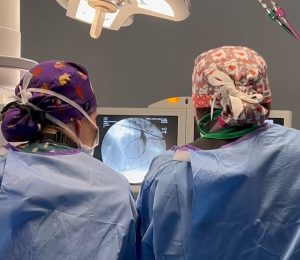 Veterinarians performing cardiology surgery