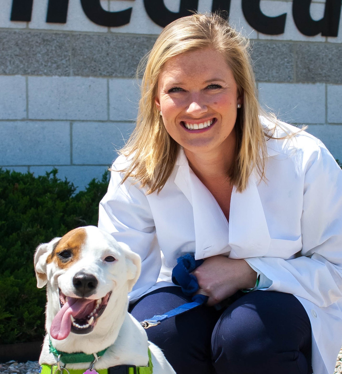Katie Hogan, DVM, DACVIM