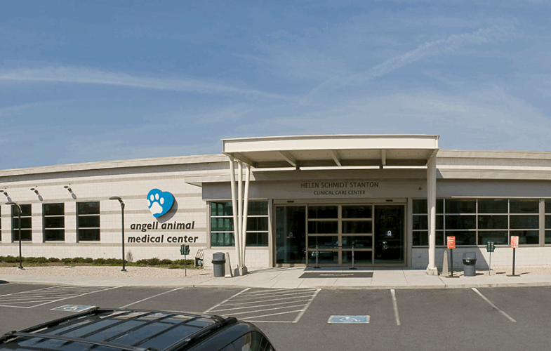 1847MSPCA-Angell Appoints Neal Litvack President and CEO