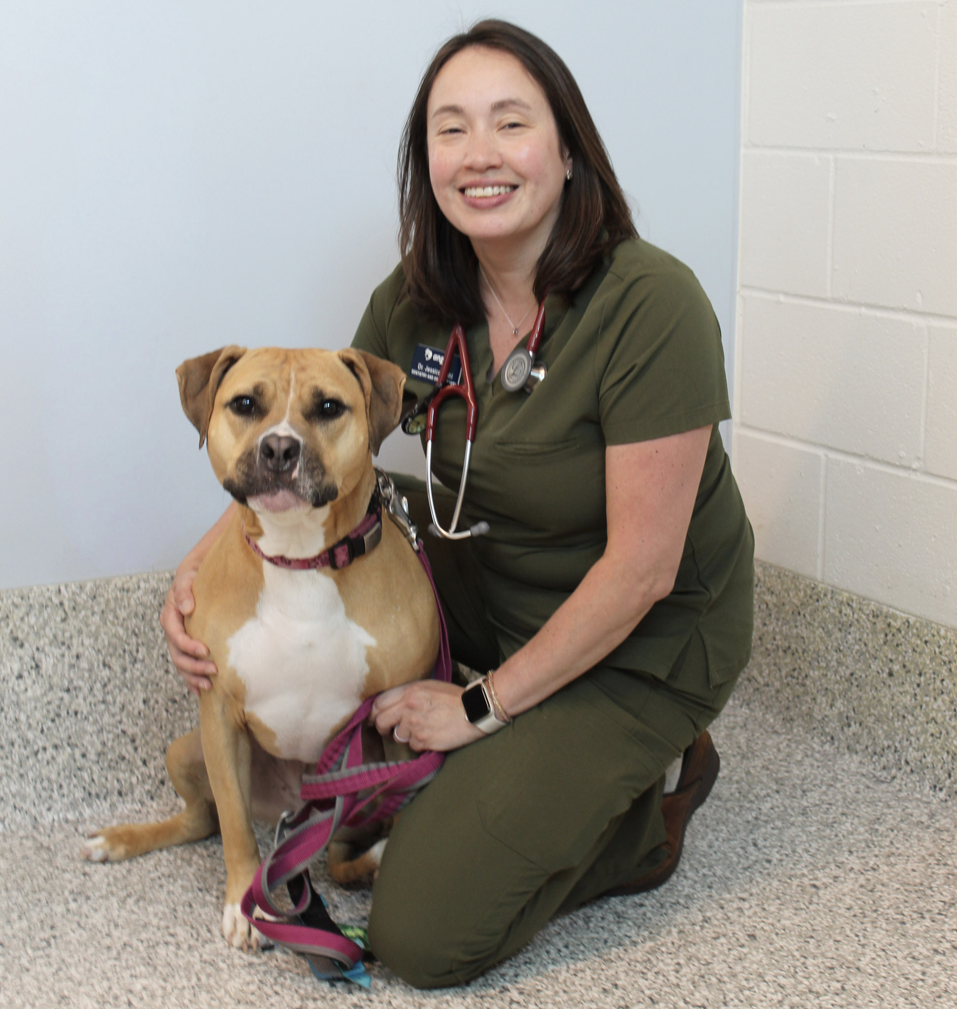 Jessica Riehl, DVM, DAVDC
