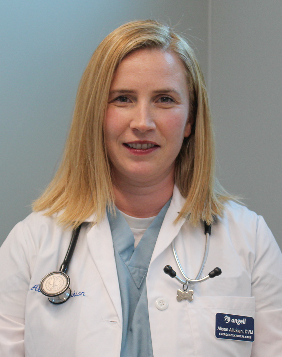 Alison Allukian, DVM
