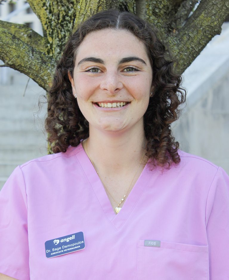 Sage Demopoulos, DVM