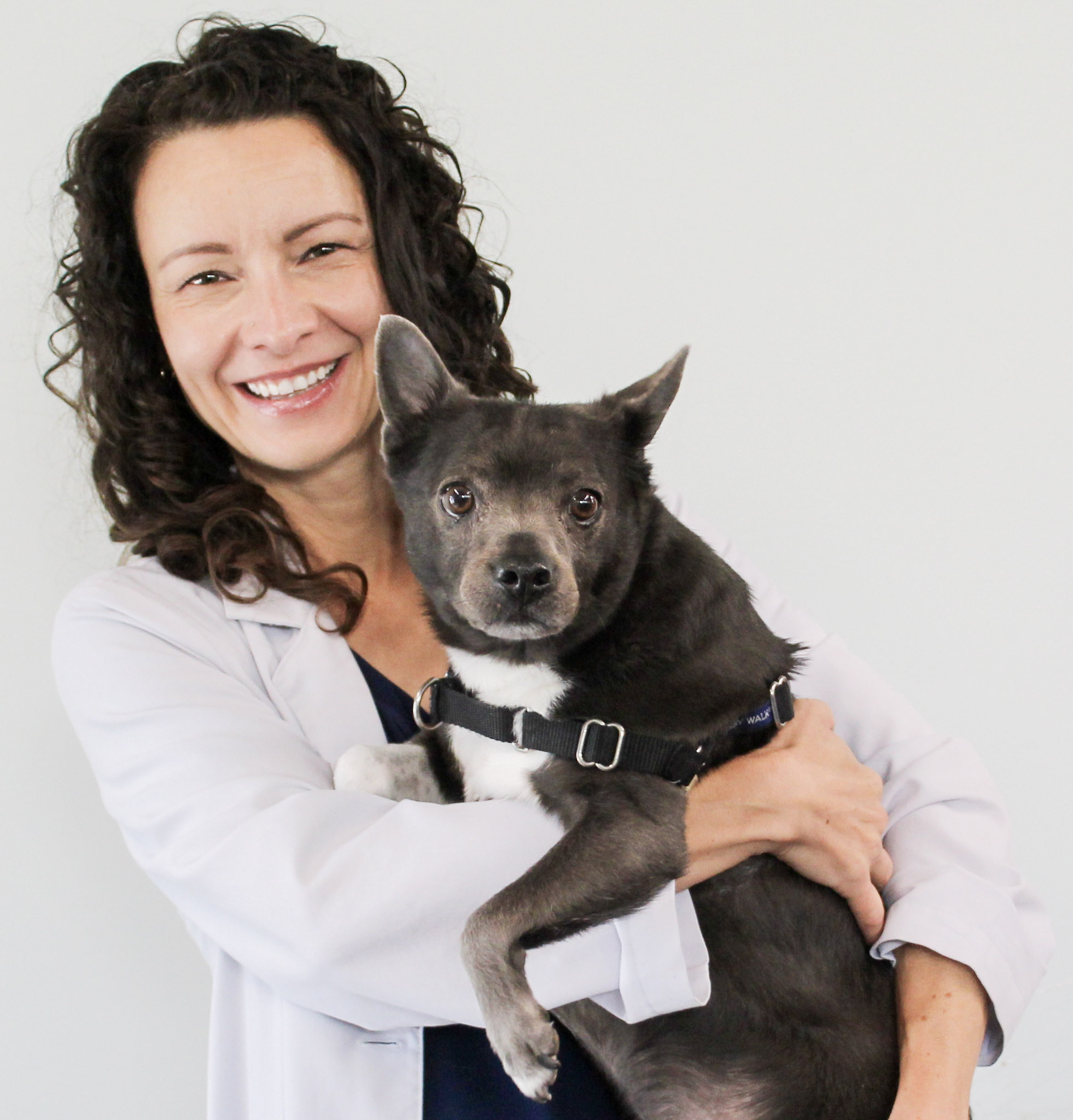 Daniela Vrabelova Ackley, DVM, MS, DACVIM-SA